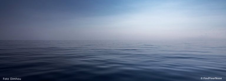 Völlige Entspannung ist das Höchste – ein Osho Zitat