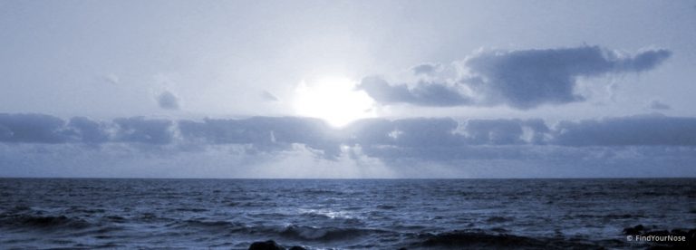 Prana in der Stirn fühlen - Meditation vor dem Einschlafen