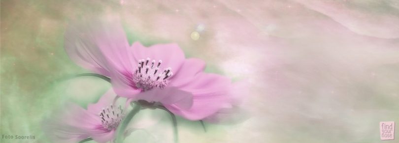 Beziehe alles mit ein – tantrische Meditation für den fühlenden Typ Mensch