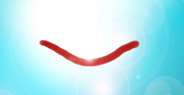 Videos über Meditation in der Meditationsvideothek