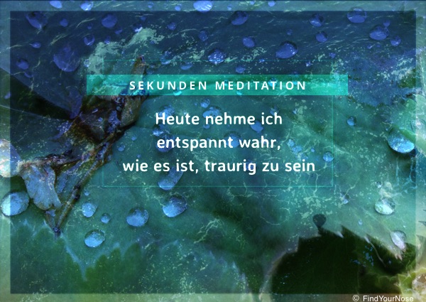 Koan Karten