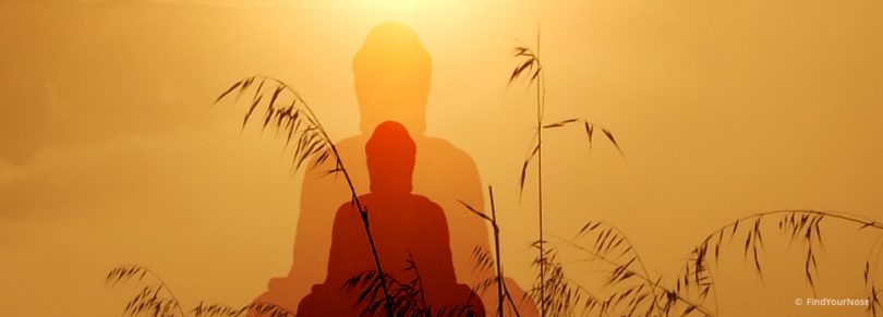 Revolution ist out - Meditation ist in