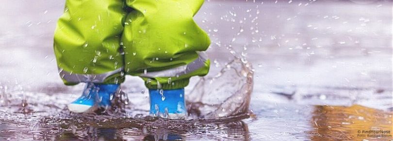 Was ist der Sinn des Lebens? Das Leben ist ohne Sinn und Zweck