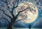 Alleinsein im Vollmond – nur mein Schatten geht mit mir
