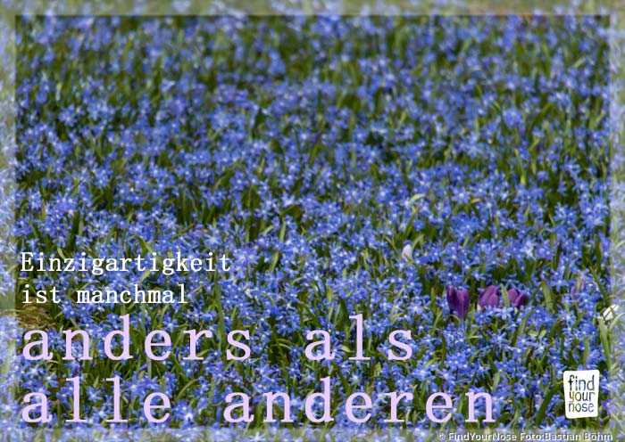 Einzigartigkeit ist manchmal anders