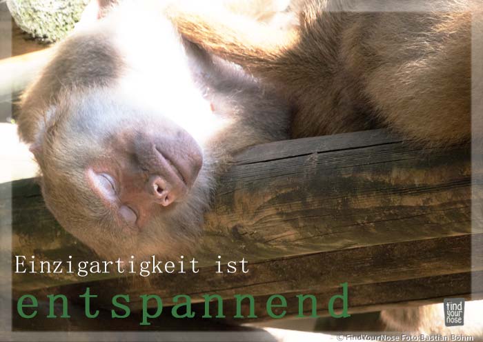 Einzigartigkeit ist manchmal entspannend