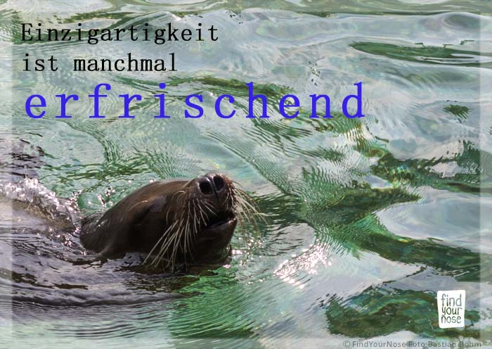 Einzigartigkeit ist manchmal erfrischend