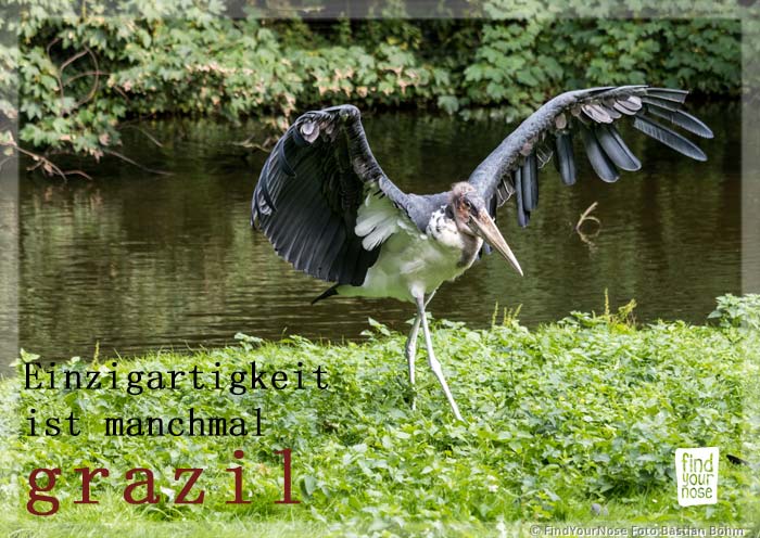 Einzigartigkeit ist manchmal grazil