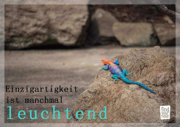 Einzigartigkeit ist manchmal leuchtend