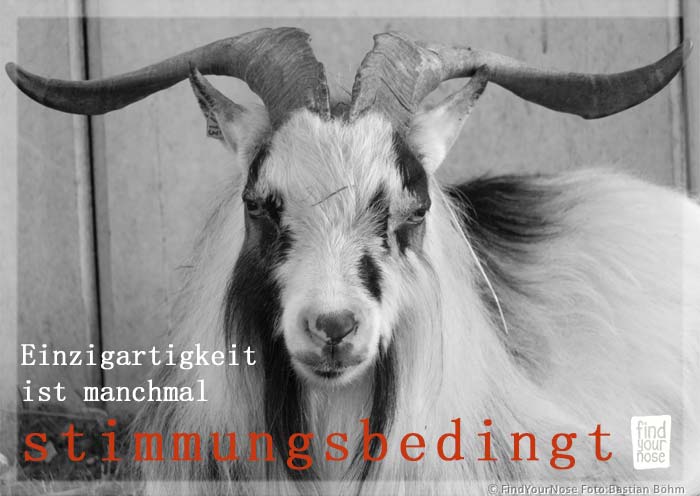Einzigartigkeit ist manchmal stimmungsbedingt