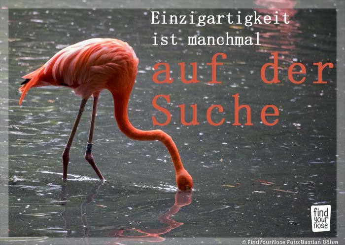 Einzigartigkeit ist manchmal auf der Suche