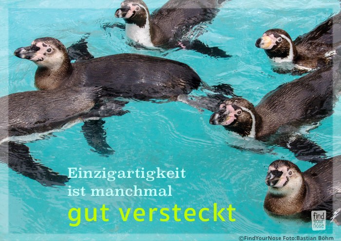 Einzigartigkeit ist manchmal gut versteckt