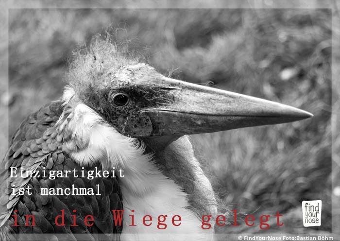 Einzigartigkeit ist manchmal in die Wiege gelegt