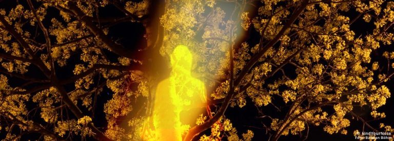 Über Traurigkeit zum innersten Kern gelangen