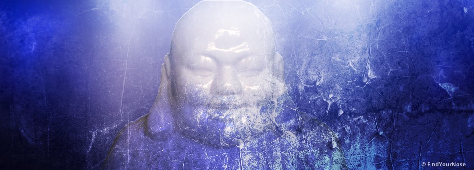Was Meditation bewirkt – eine Umfrage