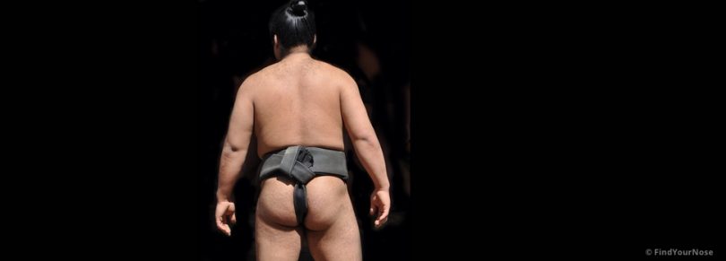 Zentrierung im Bauch – ungestört seinen Weg gehen - Das Hara am Beispiel von Sumo Ringern