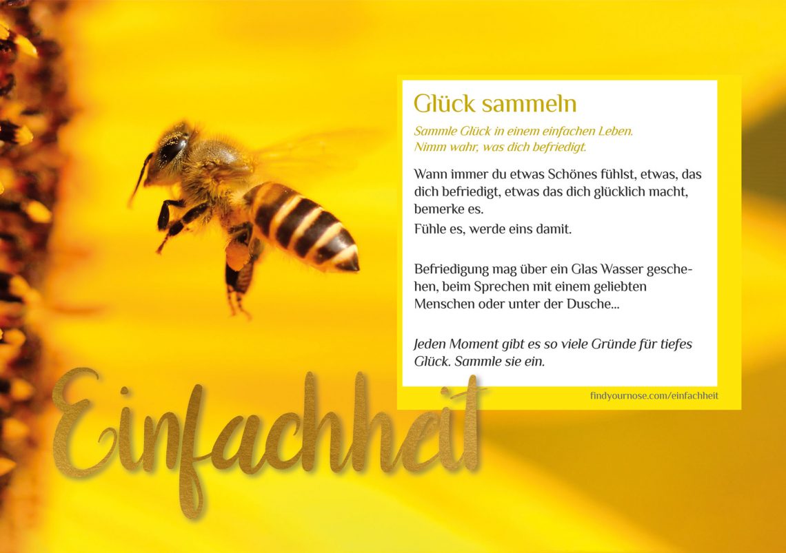 Zuhause meditieren: in Einfachheit – Glück sammeln