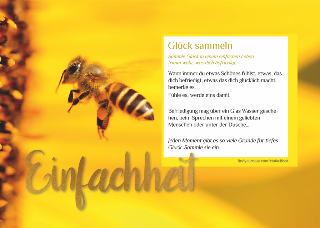 Der Unterschied von GlÃ¼ck zu VergnÃ¼gen