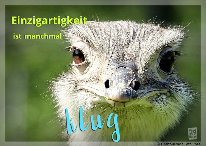 Einzigartigkeit ist manchmal klug