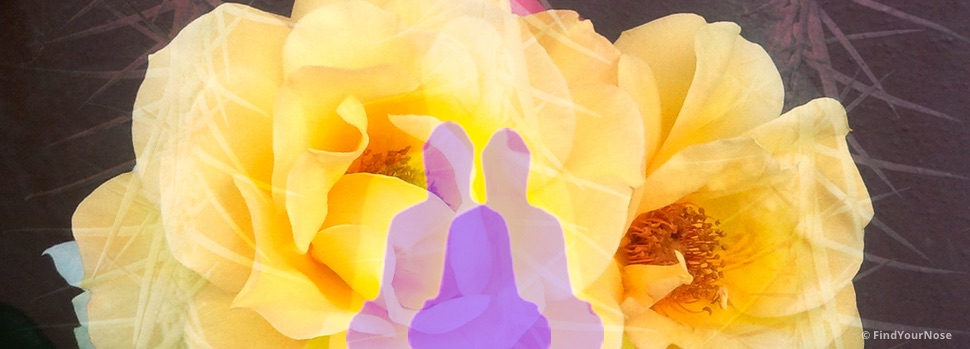 Warum Liebe schmerzhaft ist