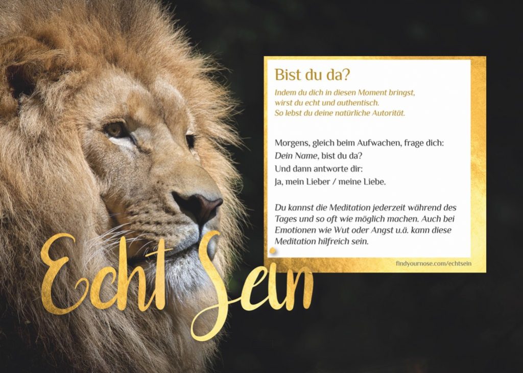Echt sein - zuhause meditieren