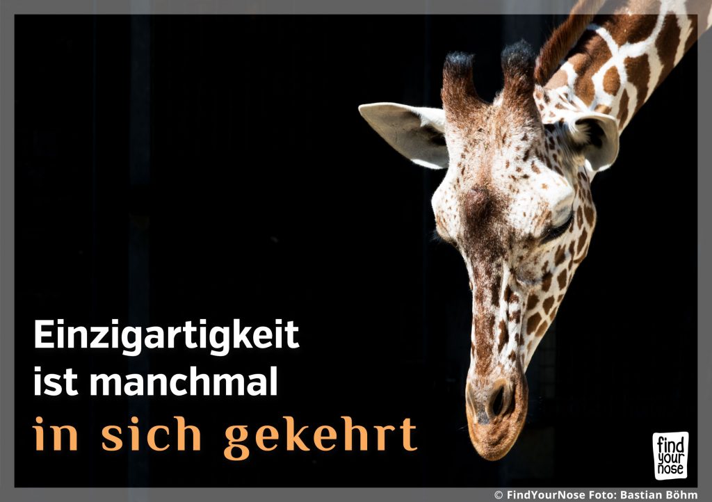Einzigartigkeit ist manchmal in sich gekehrt
