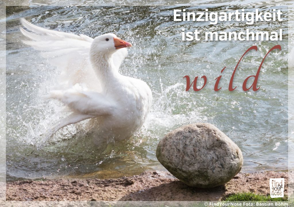 Einzigartigkeit ist manchmal wild
