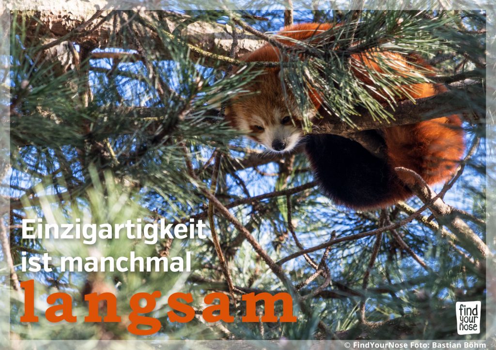 Einzigartigkeit ist manchmal langsam