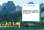 Zuhause meditieren – den Tag in Heilung verbringen