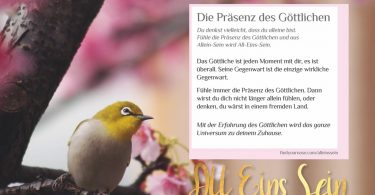 Zuhause meditieren: den Tag in All-Eins-Sein verbringen