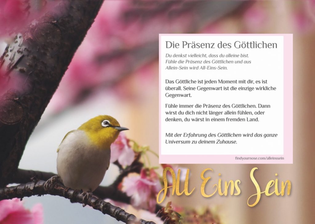 Zuhause meditieren: den Tag in All-Eins-Sein verbringen