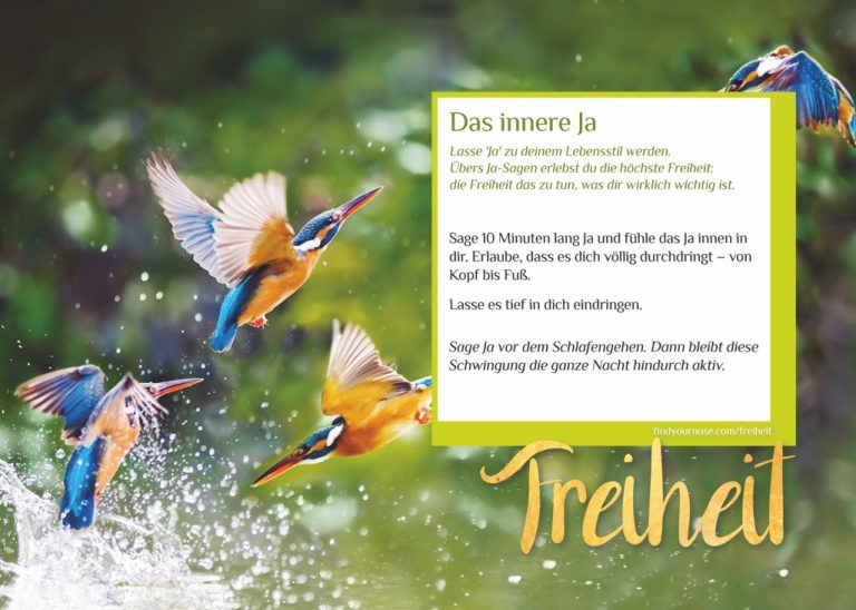 Zuhause meditieren: den Tag in Freiheit verbringen