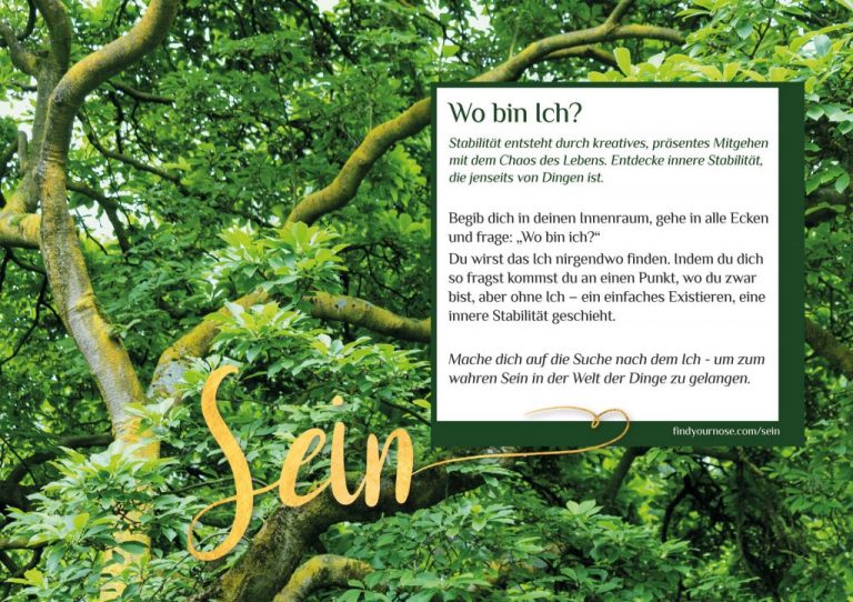 Zuhause meditieren – den Tag im Sein verbringen