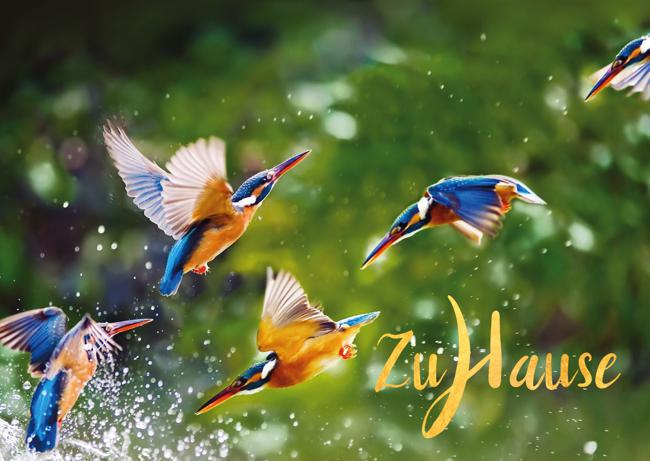 Zuhause