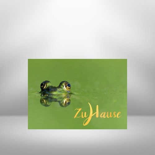 Meditative Grußkarte / Postkarte 'Zuhause, im Leben' – Frosch