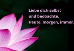 Wochenmeditation über Selbstliebe im FindYourNose Medi-Club