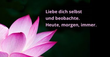 Wochenmeditation über Selbstliebe im FindYourNose Medi-Club