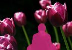10 Mythen über Meditation