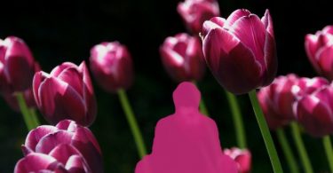10 Mythen über Meditation