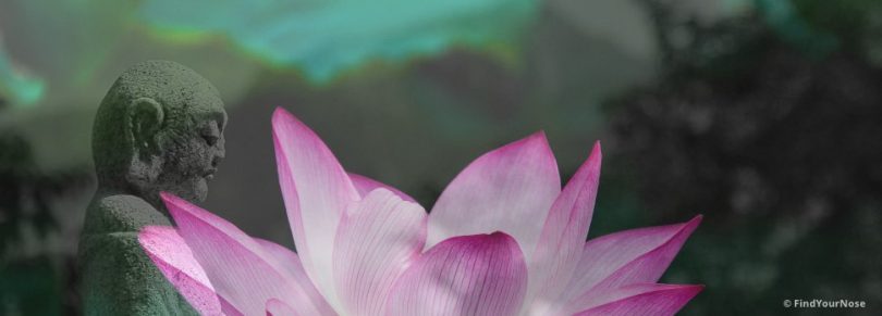 Der ganze Trick von Meditation: unbeschäftigt sein