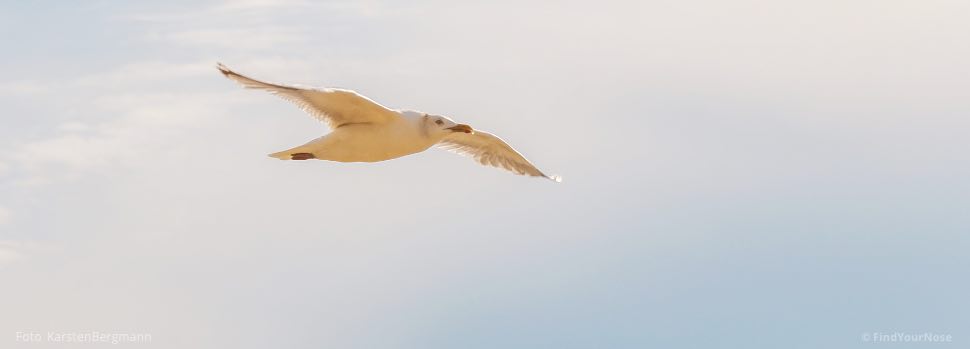 'Freiheit von etwas' ist nur die halbe Freiheit