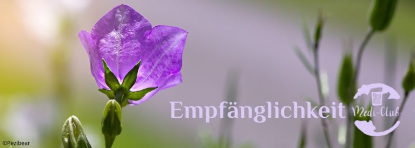 Wochenmeditation Empfänglichkeit