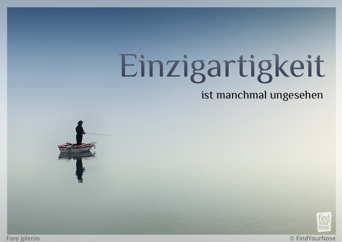Einzigartigkeit ist manchmal ungesehen