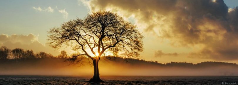 Über die begrenzte Wahrnehmung hinausgehen – eine Meditation