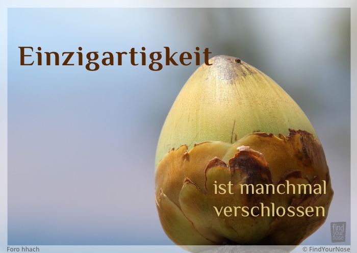 Einzigartigkeit ist manchmal verschlossen