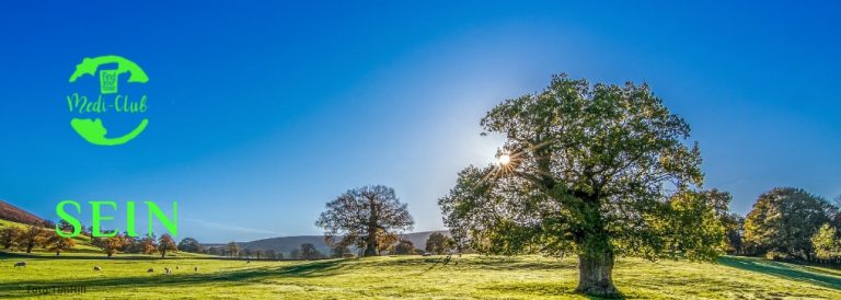 Wochenmeditation Sein