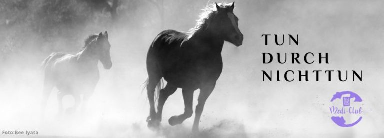 Wochenmeditation Tun durch NichtTun