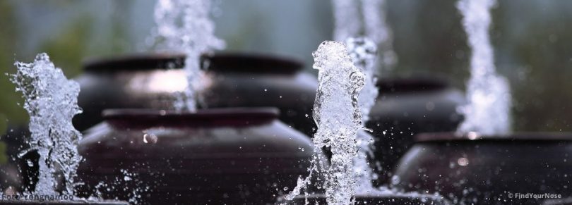 Gefühls-Hygiene für Meditierende: Gefühle rein halten