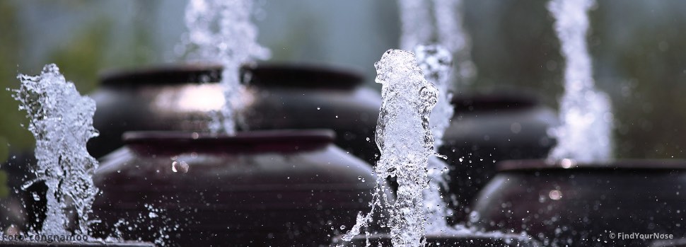 Gefühls-Hygiene für Meditierende: Gefühle rein halten