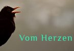 Wochenmeditation Vom Herzen hören